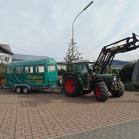 Weingut Lehnert-Spaeter Piesport Esterno foto