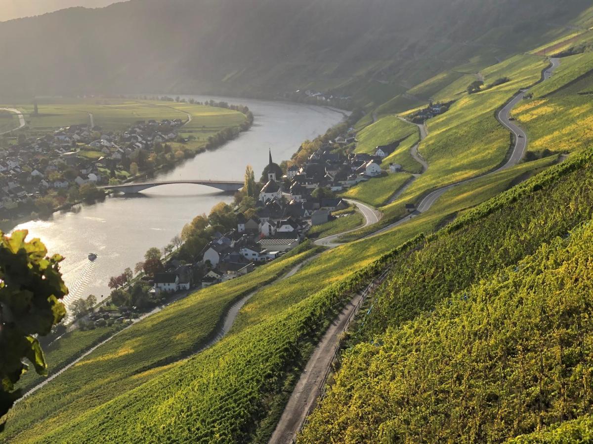 Weingut Lehnert-Spaeter Piesport Esterno foto